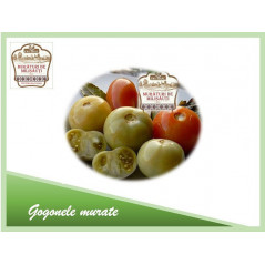 DECEBAL GOGONELE MURATE DE MILISAUTI PUNGA 1KG-POMODORI VERDI SALAMOIA