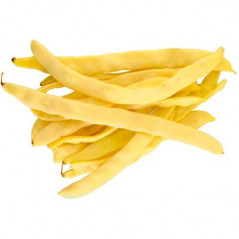 FASOLE PASTAI GALBENA CUTIE 15KG-FAGIOLI