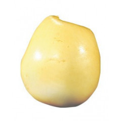 PANDA BRANZA BURDUF KG -FORMAGGIO STAGGIONATO .