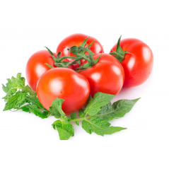 ROSII GRECIA - POMODORI ROSSI