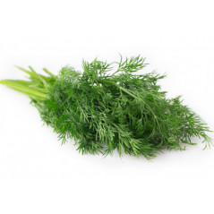 MARAR FRUNZE LEGATURA-...