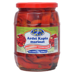 ENCON ARDEI KAPIA MARINAT