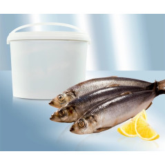 HERING IN SARAMURA 1/10kg -...